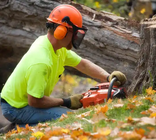 tree services Grants